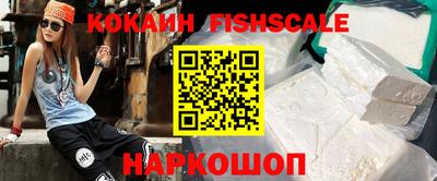 стафф Камышлов