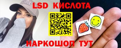 стафф Камышлов