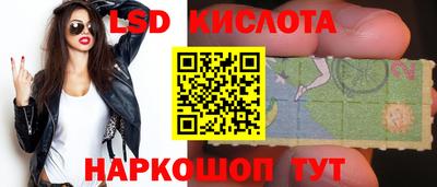 стафф Камышлов