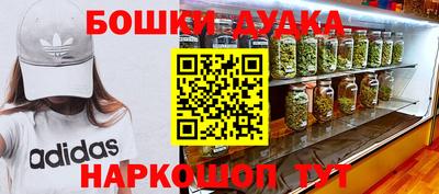 молекула духа Кандалакша