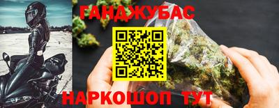 стафф Камышлов