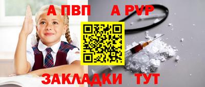 стафф Камышлов