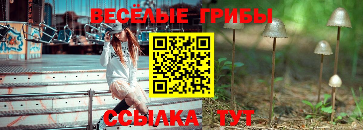 Камышин  Псилоцибиновые грибы Magic Shrooms  Вход с VPN 